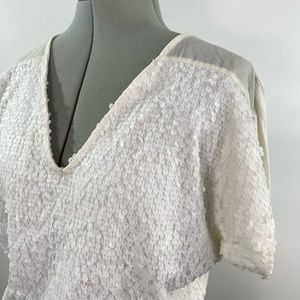 Matte White Ivory Sequin Knit Top T-shirt Blouse Sheer Panels Express XS V-Neck